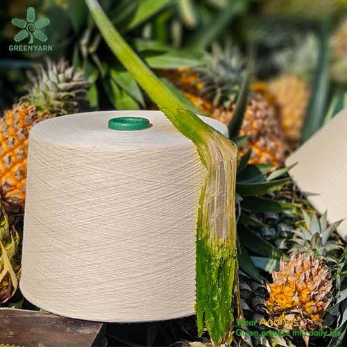 Hành Trình Công Nghệ: Từ Lá Dứa Đến Nguồn Tài Nguyên Vật Liệu Dệt May