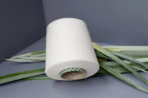 Giải Mã Giá Trị Cốt Lõi Và Đặc Tính Cơ Học Của Pineapple Leaf Fiber (PALF)